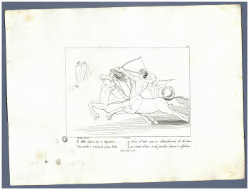 Visualizza l'immagine "Albo D 278, tav. 15"